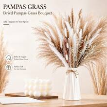 Pampas Grass Bouquet (60 Stems) – Dried Flower Decor & Reed Grass Bouquet – Perfect DIY Material For Boho Vases In Living Room & Bedroom - 60pcs - View 4