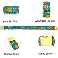 Bobo Rainbow Fall Cute Pet Dog Collar Adjustable Anti Choking Pet Collar Suitable For Dogs Used For Training Walking Heavy Duty Dogs Outdoor Special Neck Strap - Dark Green - View 3