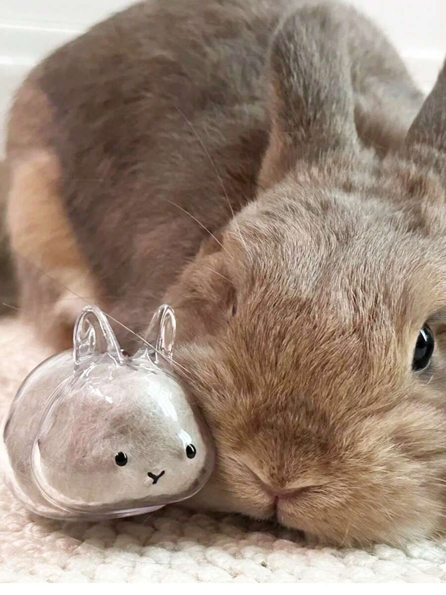 Cute Transparent Rabbit Fur Storage Box Keychain, Pet Fur Memorial Keychain, Car Keychain, Creative Memorial Gift For Pet Lovers - Multicolor - View 1