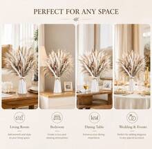Pampas Grass Bouquet (60 Stems) – Dried Flower Decor & Reed Grass Bouquet – Perfect DIY Material For Boho Vases In Living Room & Bedroom - 60pcs - View 8