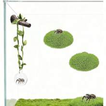 5pcs Jumping Spider Enclosure Accessories Set, 1 Clear Ball Hideout With Green Rope And Artificial Branches, 2 Green Platforms, Pet Spider Cage Hanging Decor Set, Jumping Spider Enclosure Decoration, Suitable For Jumping Spider Accessories And Amphibian Playground, For Climbing, Resting And Exploring - View 3
