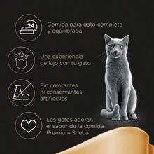 Sheba Délices du Jour Comida húmeda para Gatos Sabor Ave en salsa Multipack 12x6x50g - gramo - Ver 4