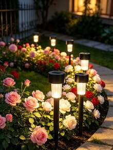 1/5/10/12pcs Black Plastic Solar Path Lights, LED Solar Lawn Lights, Waterproof Outdoor Ground Stake Lights, Suitable For Garden, Yard, Patio, Walkway, Backyard Landscape Decorative Lighting - Black - View 1