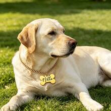 Custom Bone-Shaped Dog Name Necklace 18K Gold Plated Cuban Chain Stainless Steel Charm Necklaces Personalized Puppy Pet Jewelry Suitable For Cats And Dogs To Wear - Multicolor - View 3