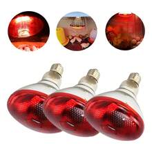 Reptile & Amphibian Habitat Lighting & Heating - Apricot - View 1