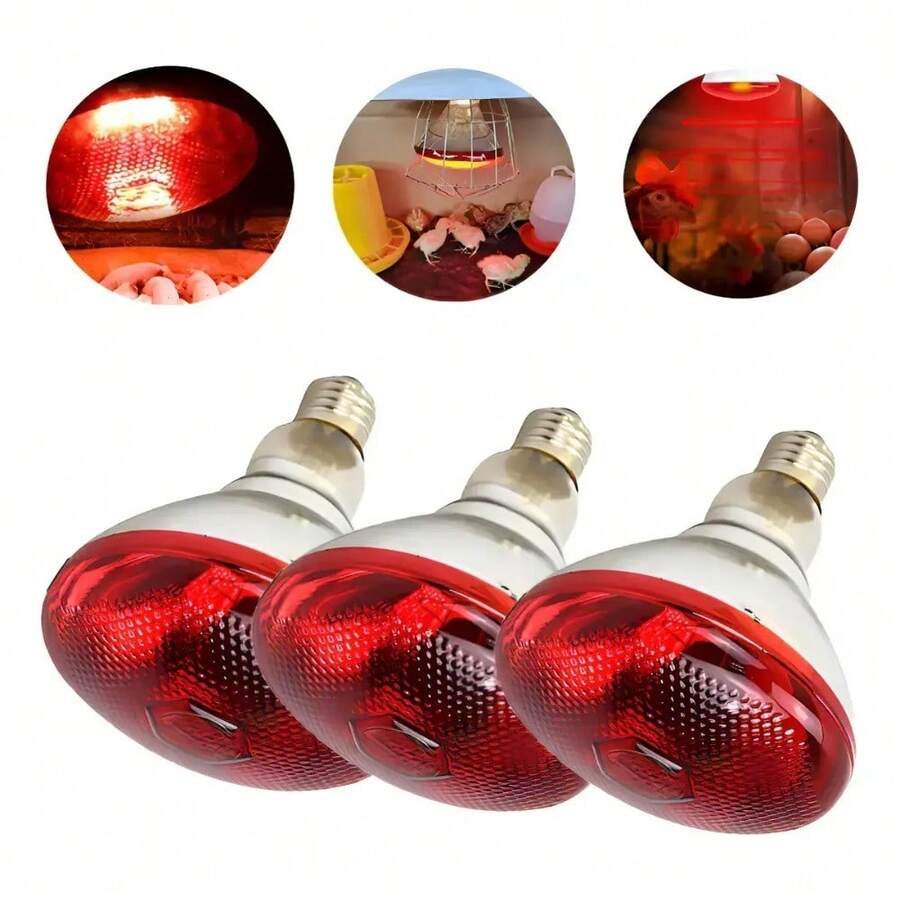 Reptile & Amphibian Habitat Lighting & Heating - Apricot - View 1