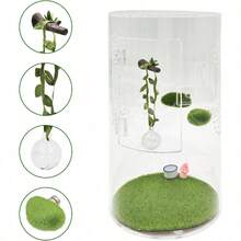 5pcs Jumping Spider Enclosure Accessories Set, 1 Clear Ball Hideout With Green Rope And Artificial Branches, 2 Green Platforms, Pet Spider Cage Hanging Decor Set, Jumping Spider Enclosure Decoration, Suitable For Jumping Spider Accessories And Amphibian Playground, For Climbing, Resting And Exploring - View 2
