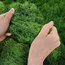 1pc 20g/50g/100g/200g/500g Artificial Moss, Suitable For Home Decor, Fake Moss Micro Landscape Arrangement, Lawn, Potted Plants - Green - View 3