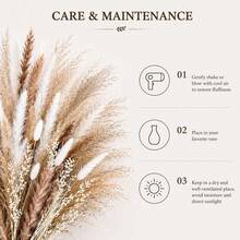 Pampas Grass Bouquet (60 Stems) – Dried Flower Decor & Reed Grass Bouquet – Perfect DIY Material For Boho Vases In Living Room & Bedroom - 60pcs - View 5