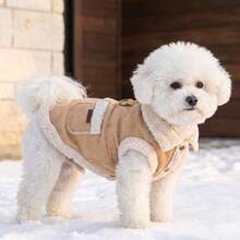 1pc Dog Jacket, 2 Colors Available Plush Collar Pet Coat, D-Ring On Back, Dual Pocket Design, Suitable For Small/Medium Dogs Puppy Clothes, Cat Clothes, Autumn/Winter Cold Weather Outdoor And Indoor Use - Brown - View 8