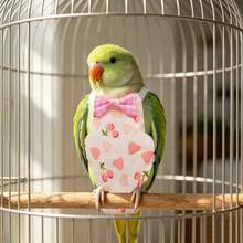 1pc Parrot Diaper Bird Poop Catcher Clothing Peony Cockatiel Breathable Flight Suit Available Sizes S/M/L Random Color Style - 1PC - View 5