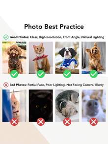 Personalized Pet Portrait Ceramic Ornament: Dog Cat Photo Striped Ornament, Cute Ornament Gift For Pet Owner, Pet Memorial Gift, Christmas Photo Ornament - White - View 7