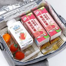 Tas Bekal Makan Siang Terisolasi Unisex, Tas Bekal Makan Siang Genggam Anti Bocor yang Dapat Digunakan Kembali dan Menjaga Suhu Dingin, Dilengkapi Tali Bahu yang Dapat Diatur, Tas Penyimpanan Wadah Bekal Makan Siang Portabel, Cocok untuk Kerja, Kantor, Piknik, dan Perjalanan - MultiWarna - View 8