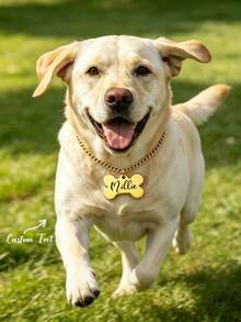 Custom Bone-Shaped Dog Name Necklace 18K Gold Plated Cuban Chain Stainless Steel Charm Necklaces Personalized Puppy Pet Jewelry Suitable For Cats And Dogs To Wear - Multicolor - View 8