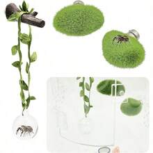 5pcs Jumping Spider Enclosure Accessories Set, 1 Clear Ball Hideout With Green Rope And Artificial Branches, 2 Green Platforms, Pet Spider Cage Hanging Decor Set, Jumping Spider Enclosure Decoration, Suitable For Jumping Spider Accessories And Amphibian Playground, For Climbing, Resting And Exploring - View 1