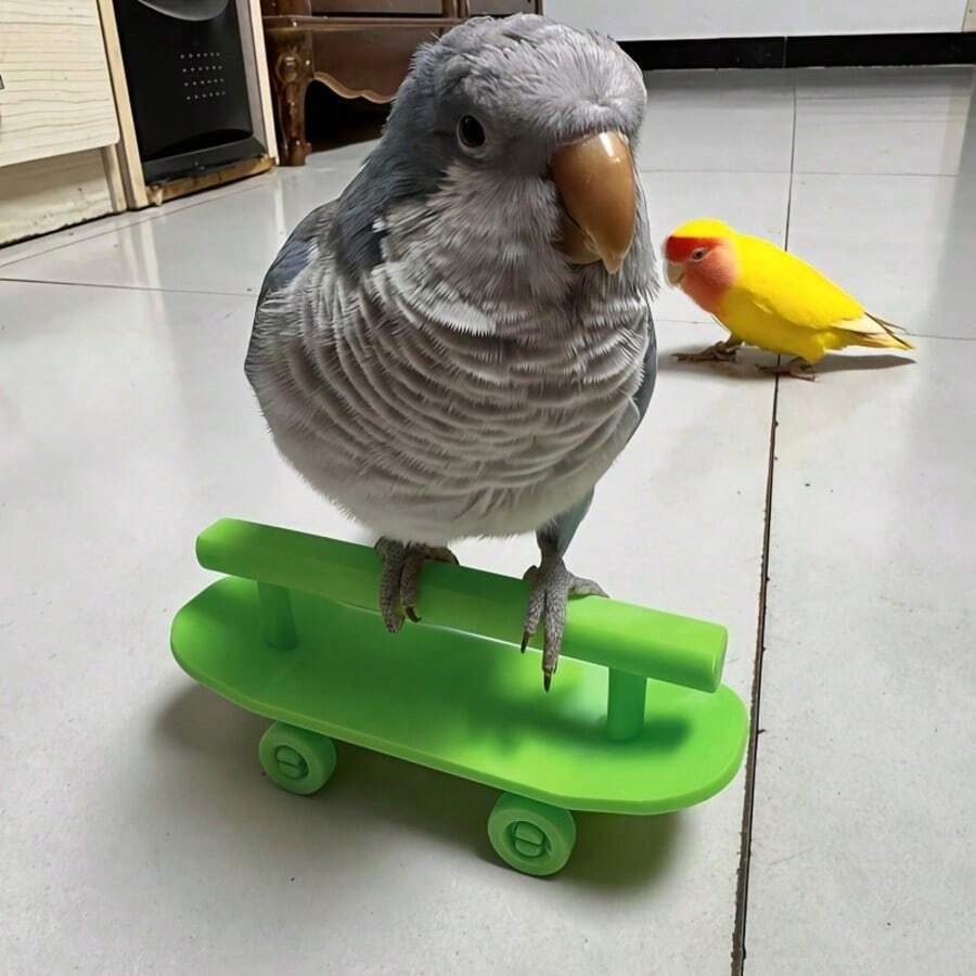 Parrot Skateboard Training Toy, Interactive Bird Play Toy With Stand, Perfect For Bird Intelligence Training, Enrichment & Entertainment - View 1