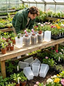 Mini Transparent Plastic Square Seedling Pots And Seed Trays, Mini Deep Pots With Drainage Holes, Suitable For Transplanting Seedlings, Germination, Herbs And Succulents - Multicolor - View 3