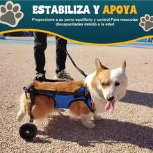 Silla de Ruedas Ajustable para Perros y Gatos, Andadera de Aluminio para Soporte de Patas Traseras, Largo, Ancho y Alto Regulables - Negro - Ver 7