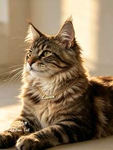 Kalung Nama Kucing Rantai Kuba Kustom, Kalung Liontin Baja Tahan Karat Berlapis Emas 18K, Aksesori Perhiasan Kustom untuk Kucing dan Anjing Peliharaan yang Lucu - MultiWarna - View 7