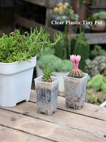 Mini Transparent Plastic Square Seedling Pots And Seed Trays, Mini Deep Pots With Drainage Holes, Suitable For Transplanting Seedlings, Germination, Herbs And Succulents - Multicolor - View 7