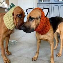 Medium To Large Dog Autumn/Winter Windproof Warm Hat Halloween Funny Pet Dog Warm Hat - Orange - View 6