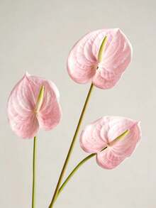 8/4/1pc Artificial Pink Anthurium, Faux Anthurium, Plastic Long Stem Artificial Plant, Suitable For Party, Home Vase Decoration, Wedding Table Arrangement, Indoor Decor, DIY Bouquet, Women's Gift, Banquet, Event Floral Arrangement, Dining Table, Living Room Decoration, Live Streaming Backdrop, Store Display, Homestay Soft Furnishing - Light Pink - View 1