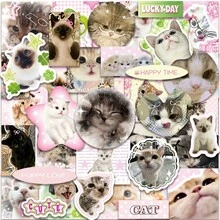 50pcs Vintage Style Cat Graffiti Stickers, Cute Cartoon Cat Decals, DIY Notebook Scrapbook Waterproof Stickers - Multicolor - View 4