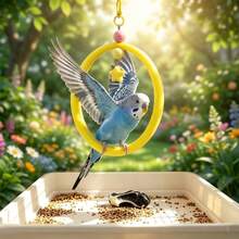 1pc Chewable Hanging Bird Swing Perch, Interactive Cage Bird Toy With Decorative Beads And Star Pendant And Metal Clip Hook, Suitable For Parrots, Budgies, Cockatiels And Other Pet Birds To Chew And Rest Cage Accessory - View 9