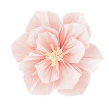 6 Px/3 Px/1 Daisy Paper Flower Balls And Crepe Paper Flower Decorations, Suitable For Wedding And Party Decor, Bright And Colorful Spring Flower Wall Decoration, Lightweight Paper Daisies, Suitable For Indoor And Outdoor Events - N - View 11
