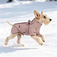 1pc Temperature-Locking Flocked Pet Winter Coat, Suitable For Small Dogs And Cats - Multicolor - View 2
