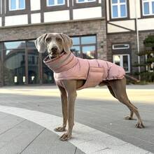Pet Cotton Down Jacket, 3-Layer Insulation, Warm & Windproof, Adjustable Dog Coat, Water-Resistant With Reflective Strip, Suitable For Large, Medium, Small Dogs, Indoor & Outdoor Cold Weather Dog Vest - Multicolor - View 13