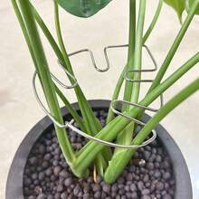 1pc Metal Turtle Shell Leaf-Shaped Plant Support Stake - Durable Monster Clip, Unique Design Suitable For Climbing Plants, Turtle Shell Bamboo Clip, Ideal Plant Support Device, Helps Plants Grow Healthily - Multi-color - View 6