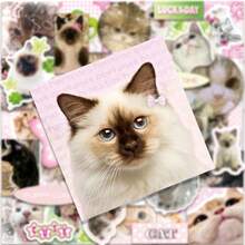 50pcs Vintage Style Cat Graffiti Stickers, Cute Cartoon Cat Decals, DIY Notebook Scrapbook Waterproof Stickers - Multicolor - View 6