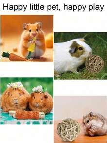 Happy Little Pet Rabbit Small Animal Chew Toy Grinding Toy, Small Pet Toy, 3pcs/6pcs/8pcs/13pcs Small Animal Grinding Gift - Multicolor - View 3