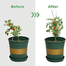 Tyqour 5件組 龜背葉植物支撐桿 可堆疊花園植物支架 適用室內外攀爬植物支撐棍 - A - 查看 3