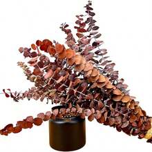 5/10/15/20/30pcs Eucalyptus Leaf Decorative Artificial Eucalyptus Stems, Realistic Touch Artificial Greenery Branches, Suitable For Wedding Bouquets, Centerpieces, Home And Office Decor - Orange - View 4