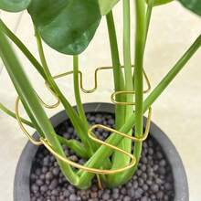 1pc Metal Turtle Shell Leaf-Shaped Plant Support Stake - Durable Monster Clip, Unique Design Suitable For Climbing Plants, Turtle Shell Bamboo Clip, Ideal Plant Support Device, Helps Plants Grow Healthily - Multi-color - View 5