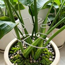 1pc Metal Turtle Shell Leaf-Shaped Plant Support Stake - Durable Monster Clip, Unique Design Suitable For Climbing Plants, Turtle Shell Bamboo Clip, Ideal Plant Support Device, Helps Plants Grow Healthily - Multi-color - View 4