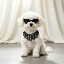 2pcs Pet Accessories Set: Beaded Pet Necklace + Cat Eye Fashion Glasses Set, Multi-Layer Pearl Neckpiece + Tinted Lenses, Adjustable Hypoallergenic Lightweight Comfortable, Fits Kittens, Ragdoll, British Shorthair, Teddy, Bichon, Pomeranian, Small Dogs, Pet Birthday Party Photo Shoot, Highly Attractive Cute Pet Outfit - Multicolor - View 5