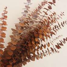 5/10/15/20/30pcs Eucalyptus Leaf Decorative Artificial Eucalyptus Stems, Realistic Touch Artificial Greenery Branches, Suitable For Wedding Bouquets, Centerpieces, Home And Office Decor - Orange - View 3