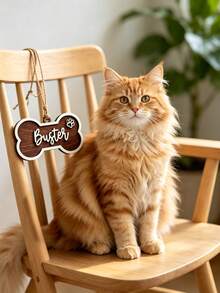 1pc Personalized Pet Name 3D Decoration, Creative Pet Commemorative Hang Tag, Suitable For Christmas Trees, Home Decoration, Pet Enthusiasts, Dog Birthdays, Holiday Parties, And Christmas Gifts - Multicolor - View 6