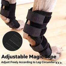 2pcs Pet Post-Surgery Recovery Knee Support Brace, Dog Outdoor Knee Protection Sleeve, Pet Joint Protection Sleeve, Cat And Dog Universal Protection Sleeve - View 3
