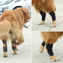 2pcs Pet Post-Surgery Recovery Knee Support Brace, Dog Outdoor Knee Protection Sleeve, Pet Joint Protection Sleeve, Cat And Dog Universal Protection Sleeve - View 10