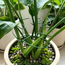 1pc Metal Turtle Shell Leaf-Shaped Plant Support Stake - Durable Monster Clip, Unique Design Suitable For Climbing Plants, Turtle Shell Bamboo Clip, Ideal Plant Support Device, Helps Plants Grow Healthily - Multi-color - View 1