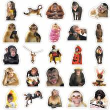 50Pcs Humorous Monkey Decorative Stickers, Funny Meme Animal Graphic Decals, Waterproof Stickers For Journal, Skateboard, DIY Projects - Multicolor - View 6