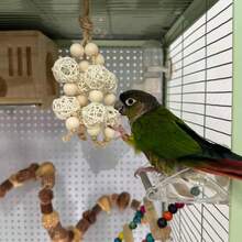 Parrot Chewing Toy Hanging Ornament Star Fruit Vine Ball Boredom Relief Self-Entertainment Bird Cage Interior Decoration Small Toy - View 12