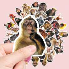 50Pcs Humorous Monkey Decorative Stickers, Funny Meme Animal Graphic Decals, Waterproof Stickers For Journal, Skateboard, DIY Projects - Multicolor - View 5