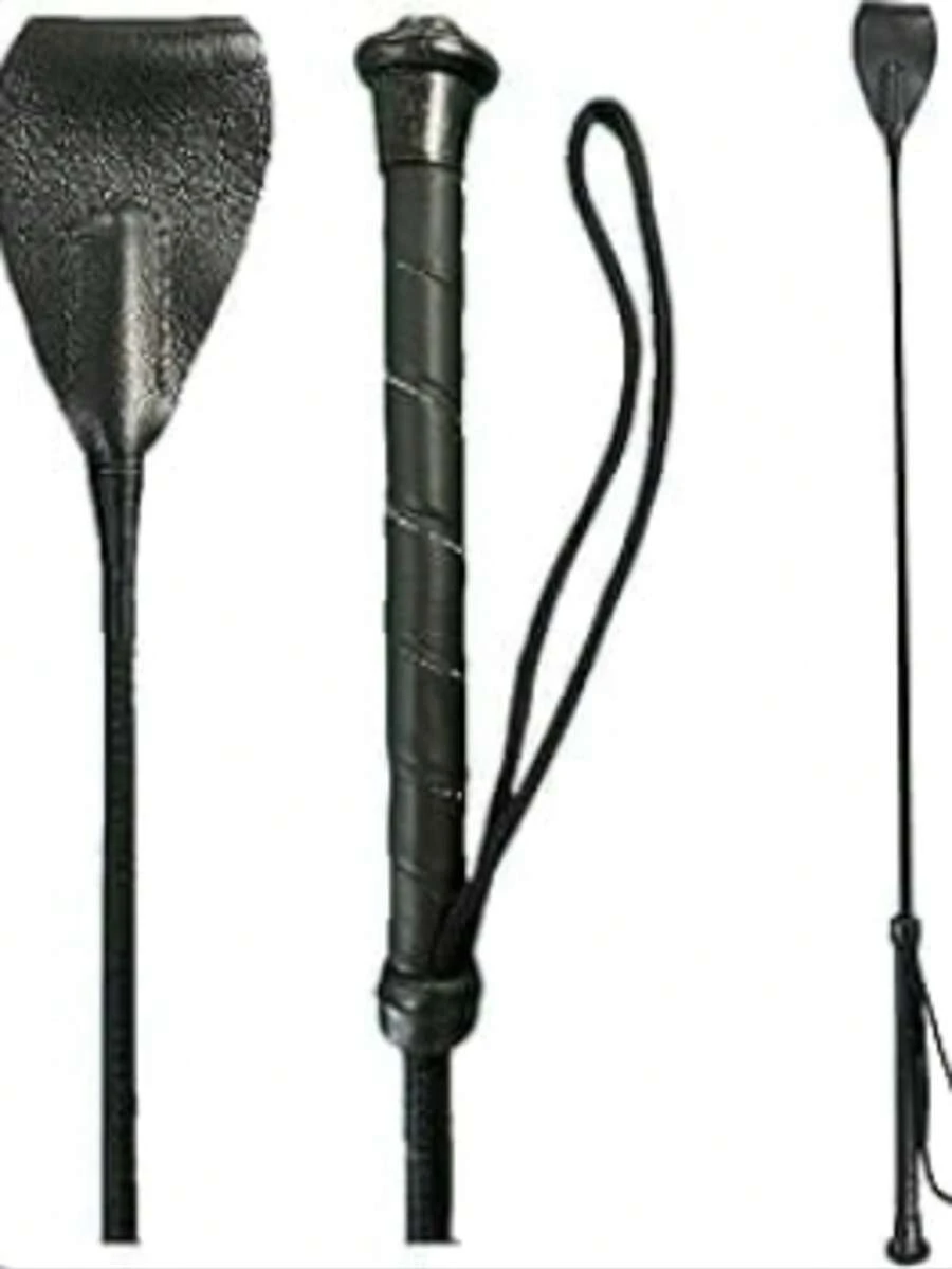 1pc Outdoor Horse Training Whip, Suitable For Beginner Horse Riding Training - Multicolor - View 1