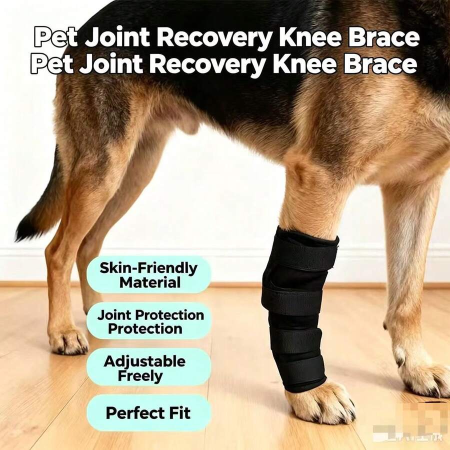 2pcs Pet Post-Surgery Recovery Knee Support Brace, Dog Outdoor Knee Protection Sleeve, Pet Joint Protection Sleeve, Cat And Dog Universal Protection Sleeve