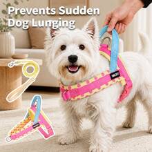 2pcs Dog Harness And Leash Set | Durable Polyester Webbing . Polka Dot Print Thickened Neoprene Soft Padding . Anti-Burst Anti-Escape; Non-Chafing Leash Handle, Round Rope Durable And Strong, Suitable For Medium Dogs Indoor And Outdoor Use - Multicolor - View 3